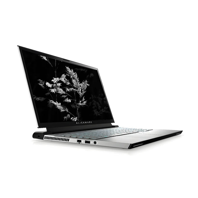 Dell Alienware M17 R2 (2019) laptop - Intel Core i7-9750H (9th Gen)